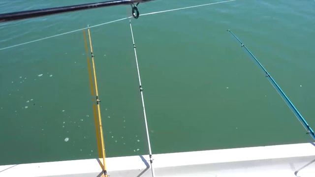 Балхаш №2. Сазан на 7.4 килограмма. Рыболовная база Завидово смотреть онлайн