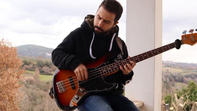 Cat Vibing To "Ievan Polkka" Meme - on BASS ? смотреть онлайн