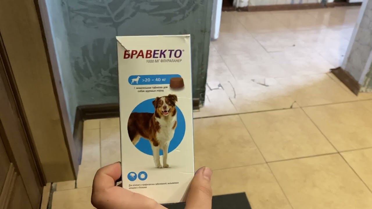 Что-то даю собаке от блох и клещей. Бравекто смотреть онлайн