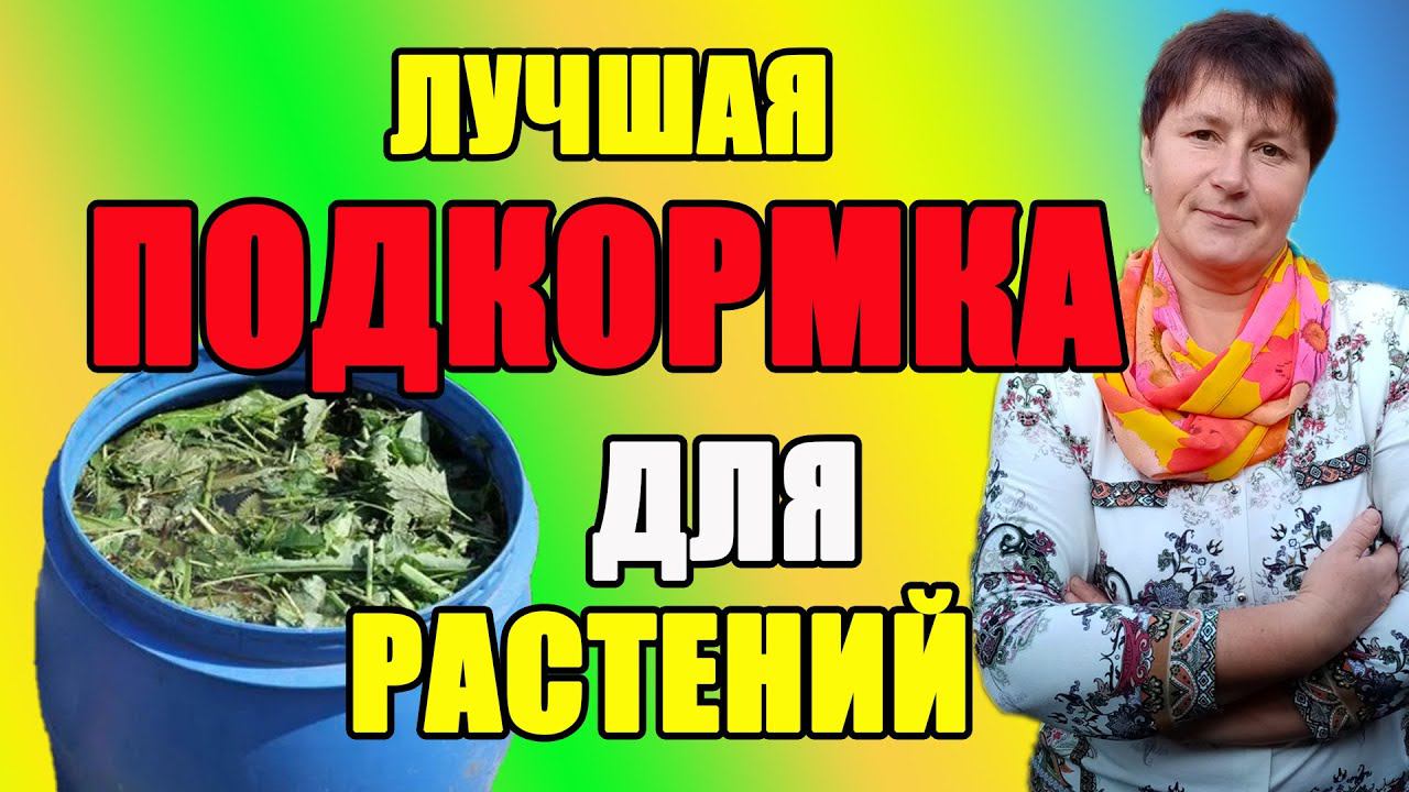Лучшая подкормка для растений.