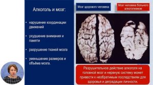 Биология, 8-й класс, Гигиена нервной системы