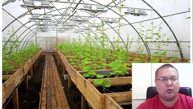10 БИЗНЕС ИДЕЙ ДЛЯ ДЕРЕВНИ И СЕЛА(мнение сельских предпринимателей)