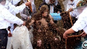 10 невероятных рекордов гиннеса