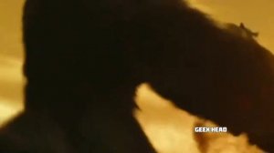 Кинконг жыв