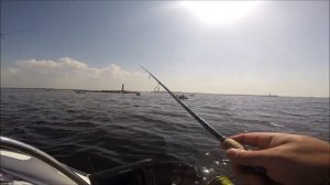 Весенняя ловля салаки. Рига. Латвия #NeptunfishingLV