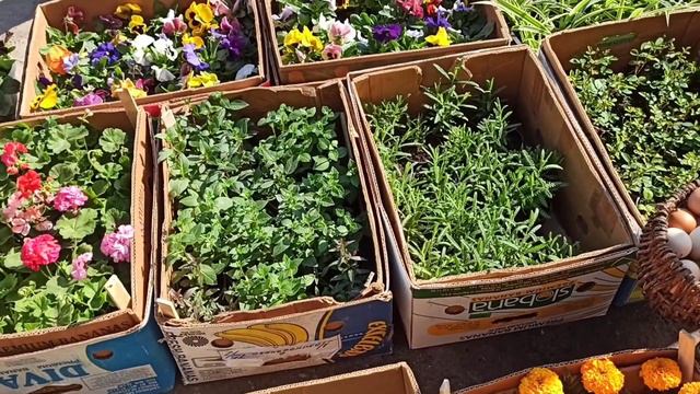 как я зарабатываю на жизнь ! сижу одной точкой на двух стульях ! смотреть онлайн