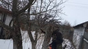 Бензопила Хопер 4518 первый запуск