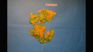 Движение литосферных плит Боброва Виктория 7А кл