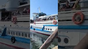 Волга. Омик на дачу