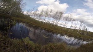 Ловля щуки в болотистой местности, видео rybachil.ru