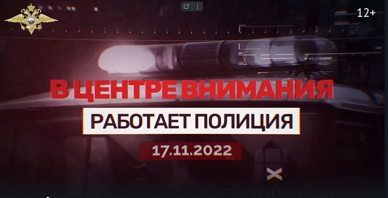 Выпуск 34. В центре внимания. Работает полиция