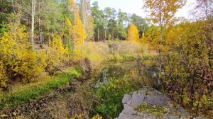 Челябинск. Изумительные краски и мелодии осени 12.10.2021г