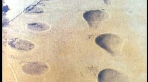 Корея славится древней историей. Часть 1