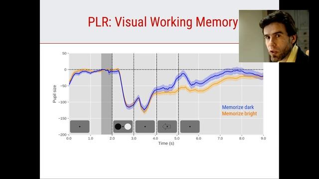 Video Lecture on Pupillometry [Cognition and Attention] смотреть онлайн