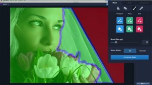 Topaz Labs MASK AI Tutorial