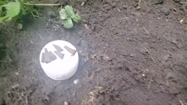 Ищу Джурджэнский хабар. смотреть онлайн