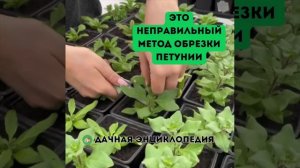 Думаешь, у тебя у одного всё плохо на участке ?