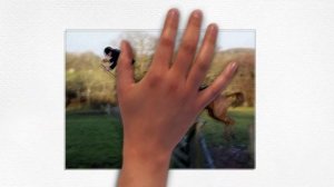 Что такое лошадиная сила?