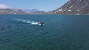 Аппарельная лодка Aleut LC 84