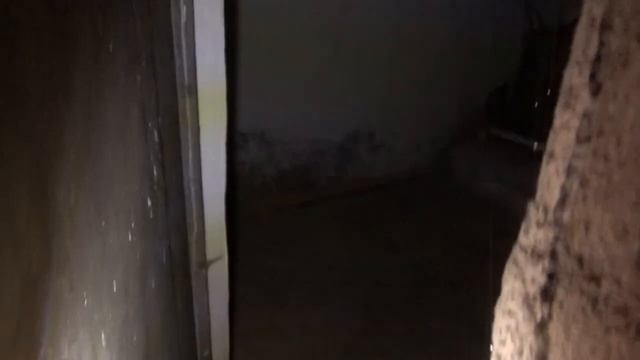 Что скрывают подвалы многоквартирных домов Москвы смотреть онлайн