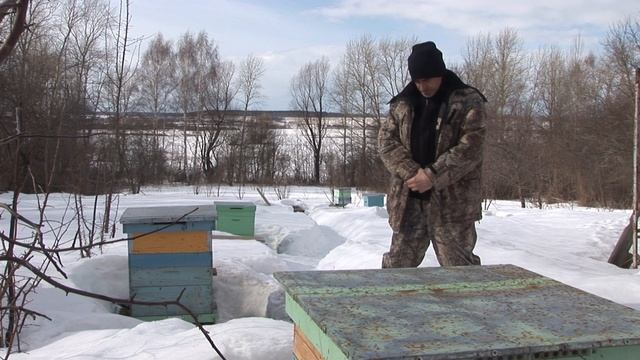 ДОБРАЯ ПЧЕЛА "КОРНИКА" смотреть онлайн