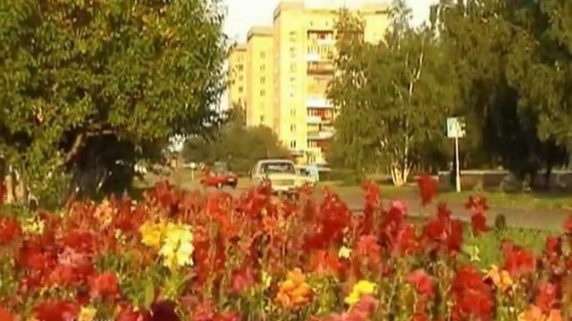 Мой город Степногорск