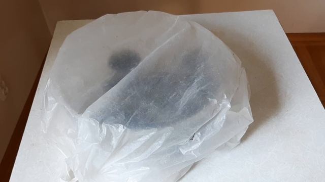 У меня получилось вырастить бамбук из семян ?