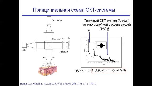 М.Ю. Кириллин "Методы биофотоники для решения клинических задач" | Открытая лекция 26.07.2022 смотреть онлайн