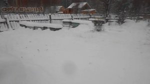 ??? ЗИМОВКА ПЧЁЛ ПОД СНЕГОМ, НАЧАЛО. КАК ЗАСЫПАТЬ УЛЬИ СНЕГОМ ПОЛНОСТЬЮ ИЛИ НЕТ ???