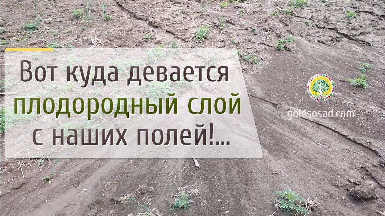 Вот куда девается плодородный слой с наших полей!...