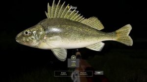 ЁРШ на р.Белая - Точка для живца и закрытия трофея! ? РР4