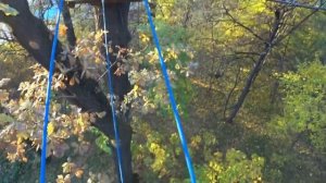 Панда парк  / маршрут СМОТРОВОЙ / ЧАСТЬ 1