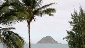 Modern Living By The Sea, Lanikai - Tracy Allen - Coldwell Banker Realty - Hawaii Real Estate
