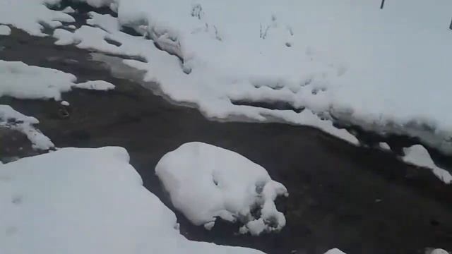 Кому на дачах жить хорошо?Семей "Мирный".