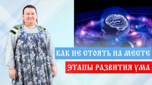 Ум | Пробелы развития | Арина Никитина