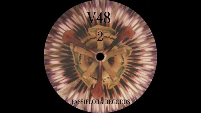V48 - Green Flower (Funky Guitar Mix) (Passiflora 1999) смотреть онлайн