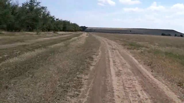 Трехостровская и Ко - MV