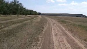 Трехостровская и Ко - MV