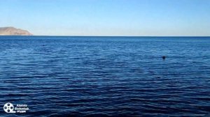 Судак 2 июля, море шепчет #Крым#Судак