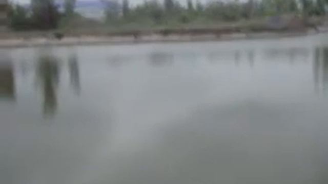 Территория Бердянск лазурный весной. 07.05.2018 смотреть онлайн