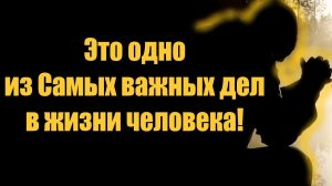 А вы знаете, какое самое главное дело жизни? Познай себя.