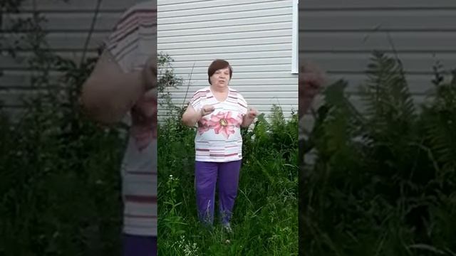 ОБЛИЦОВКА ВИНИЛОВЫЙ САЙДИНГОМ ДЁКЕ смотреть онлайн