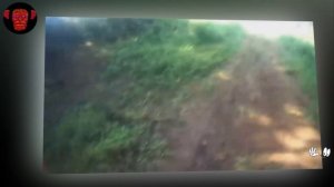 Крептиды и Странные Существа Заснятые Очевидцами.mp4