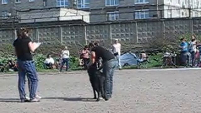 allbestdog.ru Ерика Надежный Друг смотреть онлайн