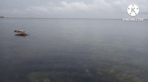 К морю....25.07.22_Короткое путешествие на побережье западного Крыма.