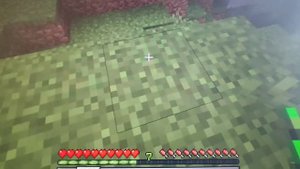 стал фермером на 24 часа