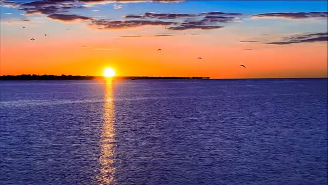 Море и чайки смотреть онлайн