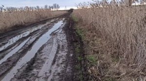 Покатушки на мопедах альфа и дельта. Но вышло спасение мопеда дельта.