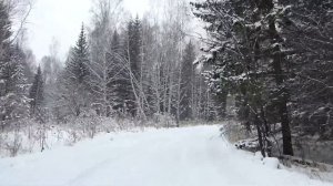 Дорога на пруд Раухова мельница.