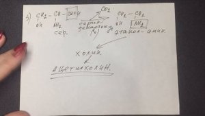 Аминокислоты. Реакции декарбоксилирования. Биохимия